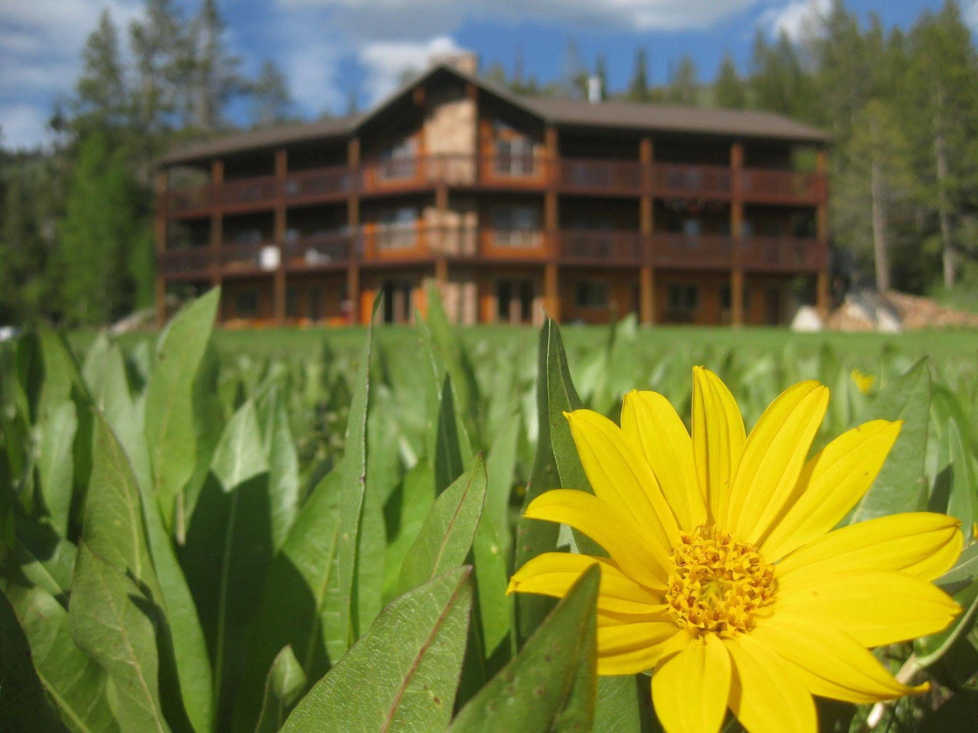 Beaver Creek Lodge Logan Luaran gambar
